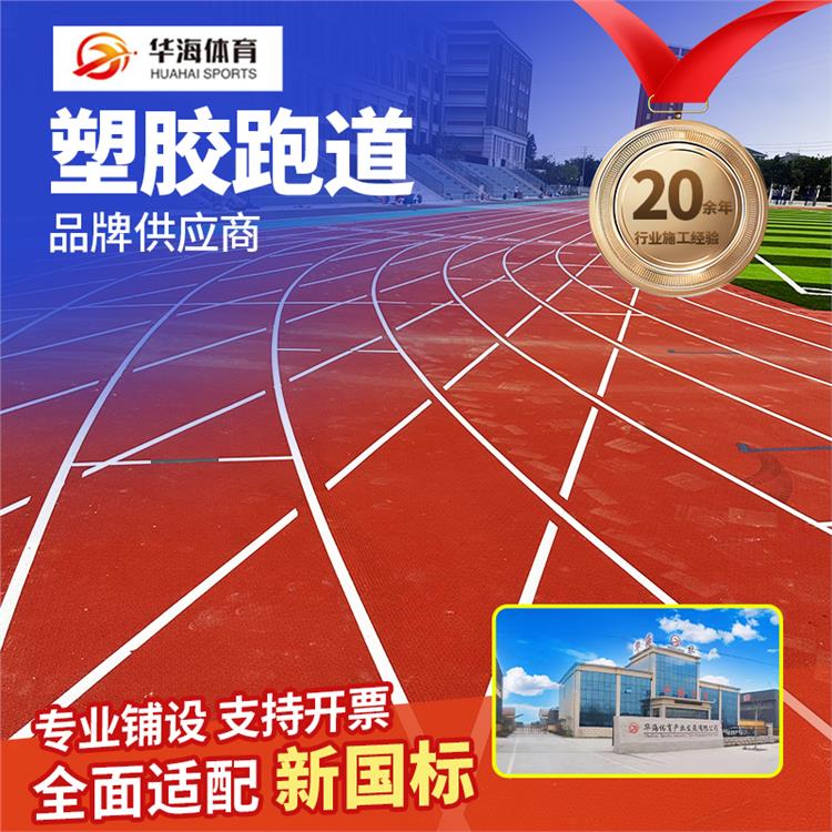 湖州市塑胶颗粒预制型橡胶跑道 - 厂家